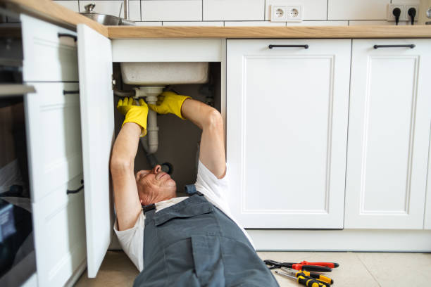 Best Plumbing Inspection Services  in Crownsville, MD