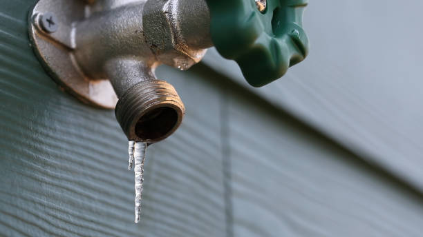 Best Leak Detection Services  in Crownsville, MD